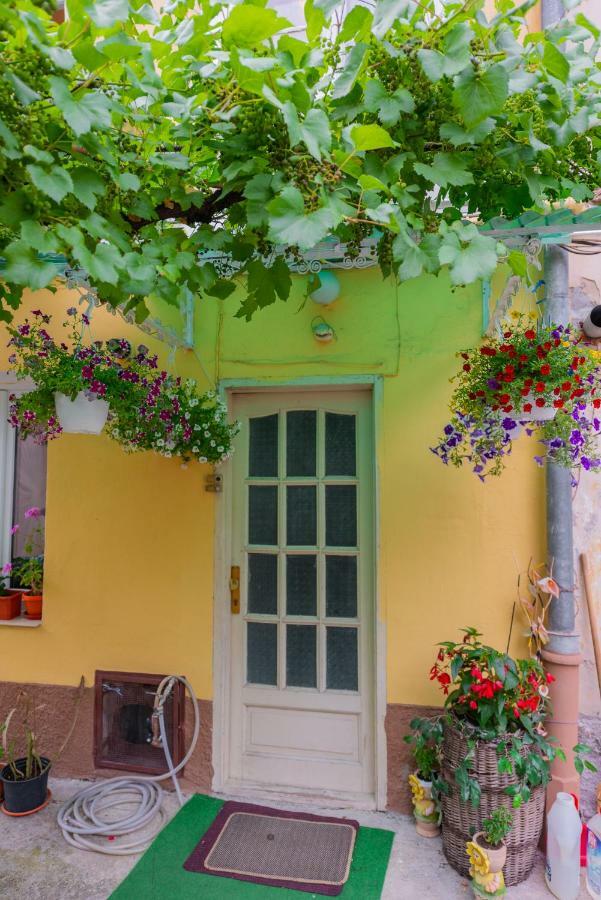 Pine House Apartment Brasov Exterior photo