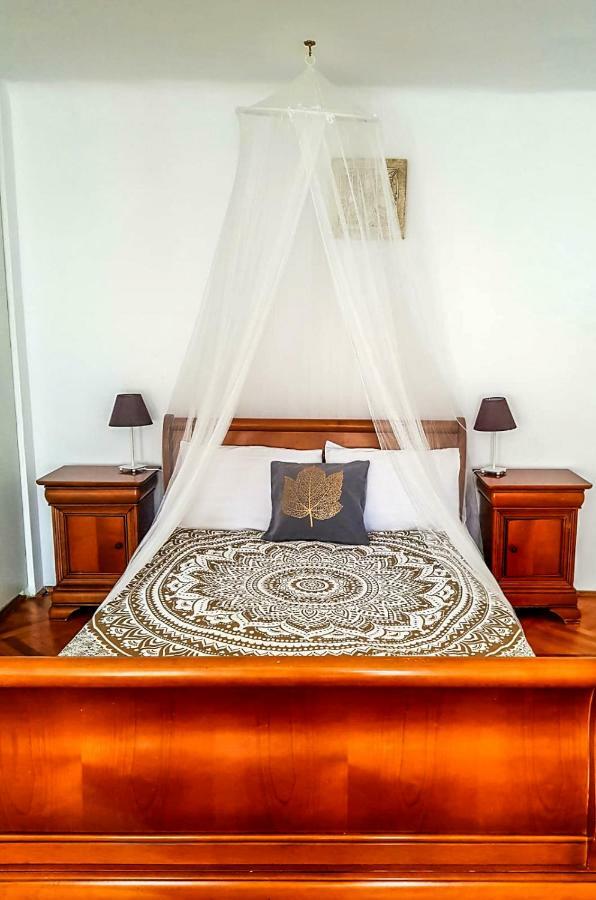 Pine House Apartment Brasov Room photo